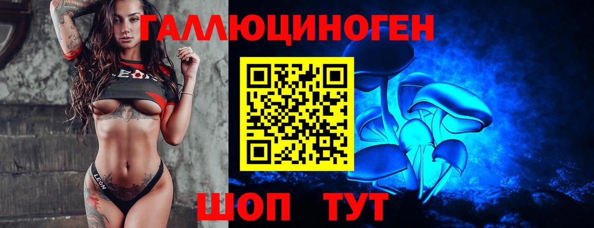 Псилоцибиновые грибы Psilocybine cubensis  Вход с VPN  Таганрог 